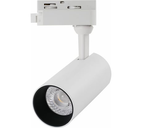 Трековый светильник Arte Lamp REGULUS A4568PL-1WH