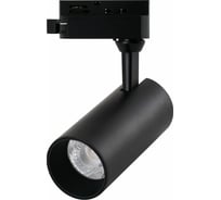 Трековый светильник Arte Lamp REGULUS A4568PL-1BK