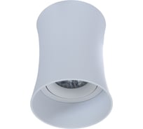 Потолочный светильник Lumina Deco Malton LDC 8053-B SS-D85*H115 WT