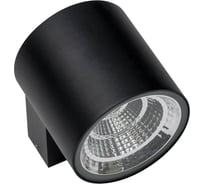 Уличный настенный светодиодный светильник Lightstar 360674