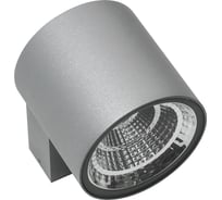 Уличный настенный светодиодный светильник Lightstar 360694