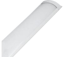 Светильник светодиодный FL-LED LPO-PC 60 18W 4000K IP20 20x75x620мм 1600Лм 220В офисный аналог ЛПО 611208