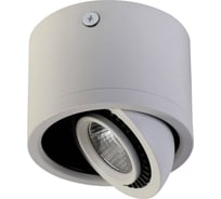 Потолочный светодиодный светильник Favourite 1775-1C