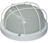 Светильник DIODEX Led Промо Шок 10Вт, 4000К, опаловый, белый 4603789920482