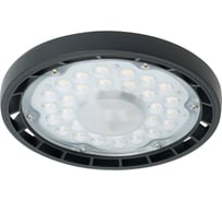 Светильник складской FERON AL1006 IP65 100W 120 5000K, 51622