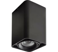 Потолочный светодиодный светильник Lightstar 052337