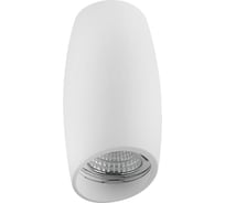 Потолочный светильник Lightstar 214466
