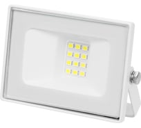 Прожектор TDM ELECTRIC Народный СДО-05-010 10 Вт, 800 лм, 6500 К, 220-240 В, IP65, белый SQ0336-0308