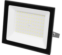 Прожектор TDM ELECTRIC Народный СДО-05-100 100 Вт, 8000 лм, 6500 К, 220-240 В, IP65, черный SQ0336-0305