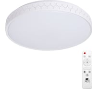 Потолочный светильник Arte Lamp SIMONE A2682PL-72WH