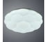 Потолочный светильник Arte Lamp BISCOTTI A2676PL-72WH 2