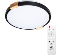 Потолочная люстра Arte Lamp JERSEY A2683PL-72BK