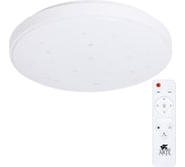 Потолочный светильник Arte Lamp ONDA A2681PL-72WH