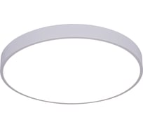 Потолочная люстра Arte Lamp ARENA A2686PL-35WH