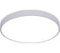 Потолочная люстра Arte Lamp ARENA A2686PL-35WH 1