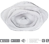 Потолочный светильник Arte Lamp MULTY-SPACE A1435PL-1WH