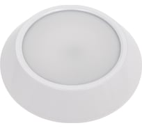 Потолочный светильник Lightstar 214702
