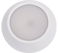 Потолочный светильник Lightstar 214704