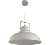 Подвесной светильник Arte Lamp MARTIN A5213SP-1WG