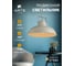 Подвесной светильник Arte Lamp MARTIN A5213SP-1WG 4