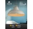 Подвесной светильник Arte Lamp MARTIN A5213SP-1WG 6