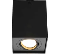 Потолочный светильник Omnilux OML-101119-01