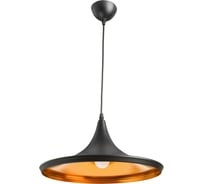 Подвесной светильник Arte Lamp CAPPELLO A3406SP-1BK