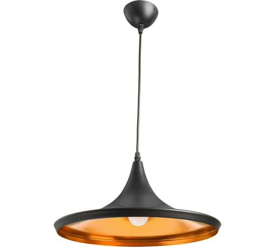 Подвесной светильник Arte Lamp CAPPELLO A3406SP-1BK 1