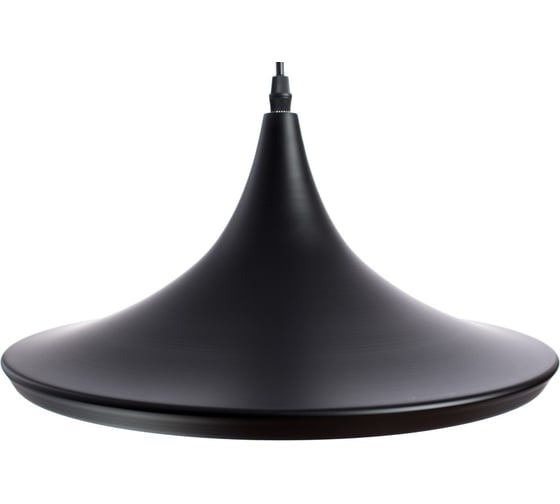 Подвесной светильник Arte Lamp CAPPELLO A3406SP-1BK