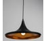 Подвесной светильник Arte Lamp CAPPELLO A3406SP-1BK 2