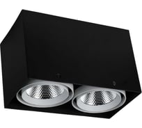 Потолочный светодиодный светильник Favourite 1987-2U