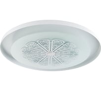 Потолочный светодиодный светильник Favourite 2601-5C