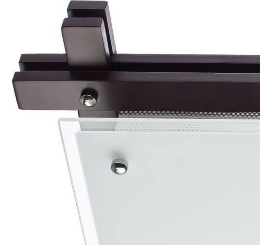 Потолочный светильник Arte Lamp ARCHIMEDE A6462PL-2CK