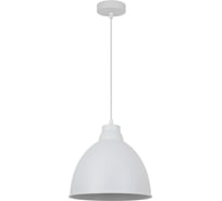 Подвесной светильник Arte Lamp BRACCIO A2055SP-1WH