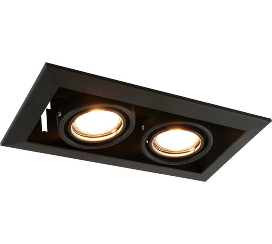 Встраиваемый светильник Arte Lamp CARDANI PICCOLO A5941PL-2BK
