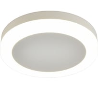 Потолочный светильник Omnilux OML-102109-06