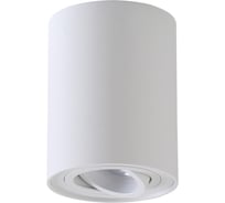 Потолочный светильник Crystal Lux CLT 410C1 WH