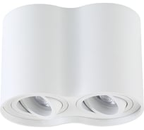 Потолочный светильник Crystal Lux CLT 410C2 WH