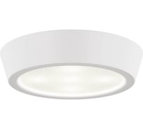 Потолочный светодиодный светильник Lightstar 214902