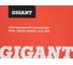 Светодиодный прожектор IP65 200W 6400K Gigant GLS-200 9