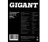 Светодиодный прожектор IP65 300W 6400K Gigant GLS-300 9
