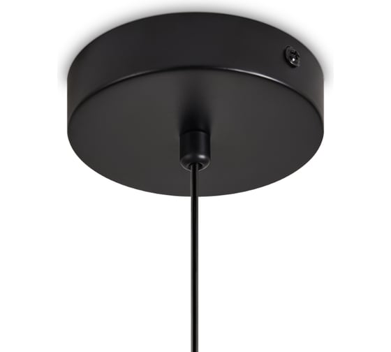 Подвесной светильник Freya Acoustic Черный FR5494PL-01TR