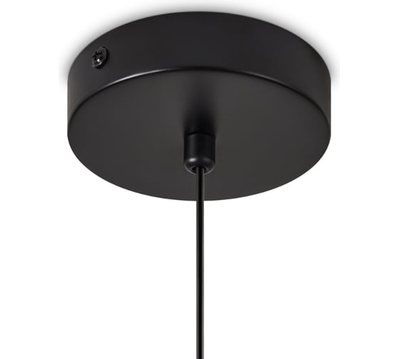 Подвесной светильник Freya Acoustic Черный FR5494PL-0GR