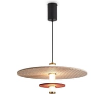 Подвесной светильник Freya Acoustic Черный FR5494PL-L9TR