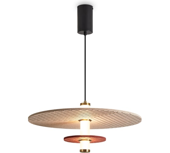 Подвесной светильник Freya Acoustic Черный FR5494PL-L9TR 1