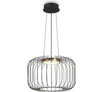 Подвесной светильник Freya Citrus Черный FR5398PL-L8B