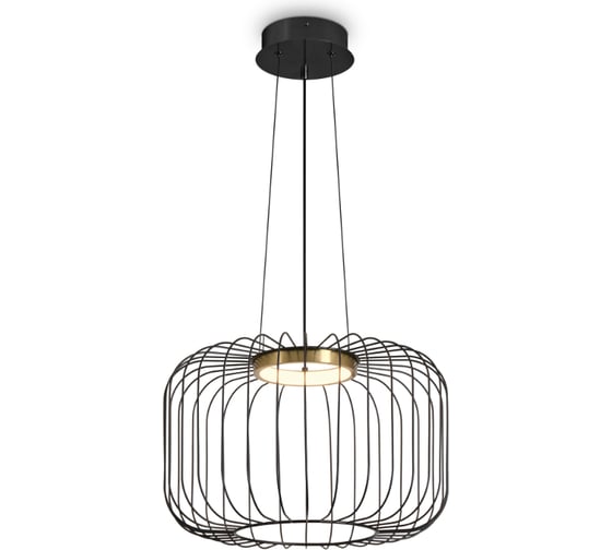 Подвесной светильник Freya Citrus Черный FR5398PL-L8B 1