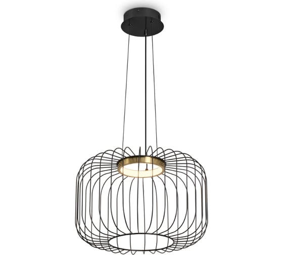 Подвесной светильник Freya Citrus Черный FR5398PL-L8B