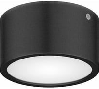 Уличный светодиодный светильник Lightstar 380173