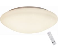 Потолочный светильник Omnilux OML-43007-40